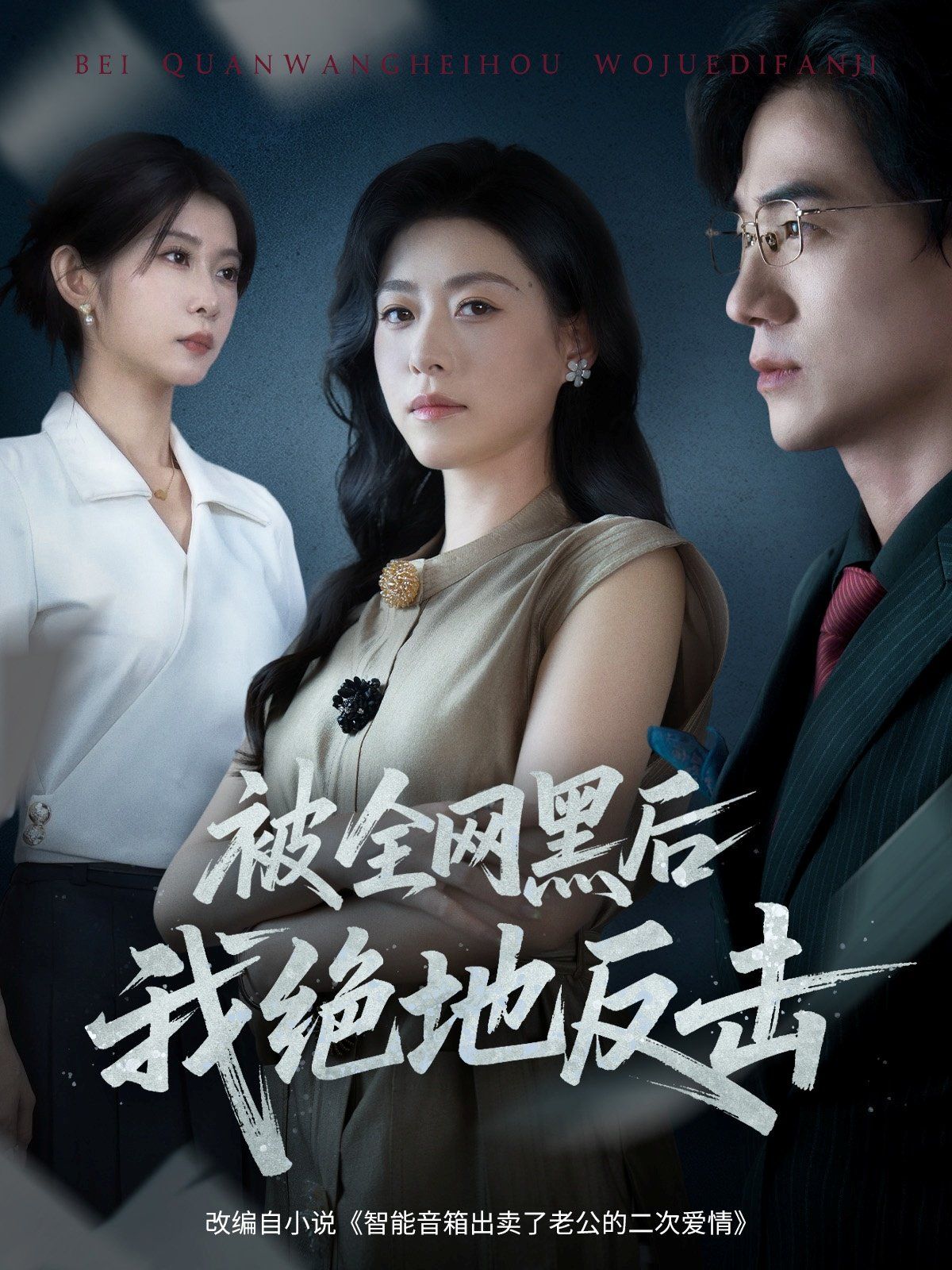 被全网黑后我绝地反击 高清封面