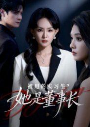 被甩的实习生？她是董事长！ 高清封面