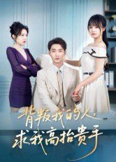 背叛我的人，求我高抬贵手 高清封面