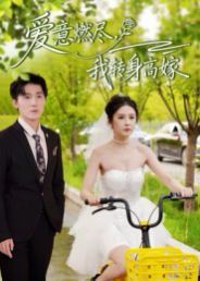 爱意燃尽，我转身高嫁 高清封面