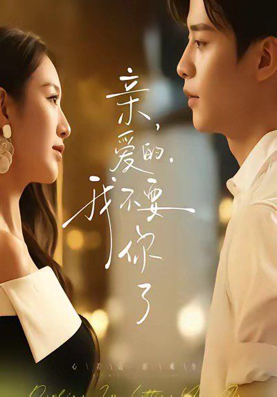 亲爱的，我不要你了 高清封面