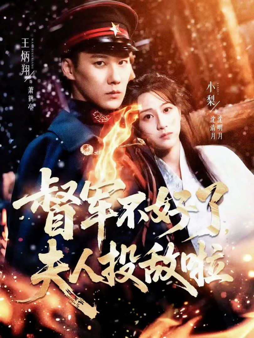 督军不好了，夫人投敌啦(清月照鹤亭) 高清封面