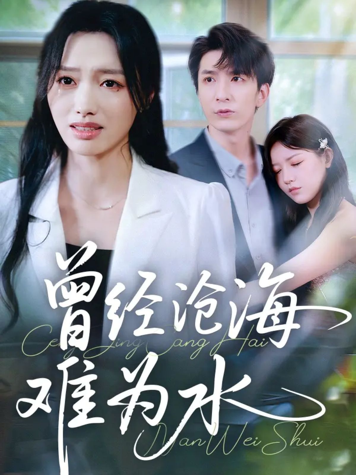 新曾经沧海难为水 高清封面