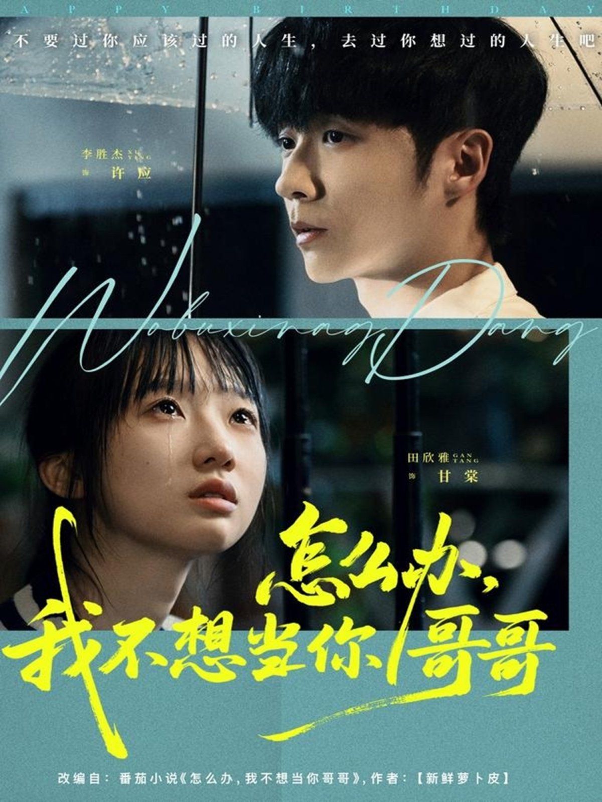 怎么办，我不想当你哥哥 高清封面