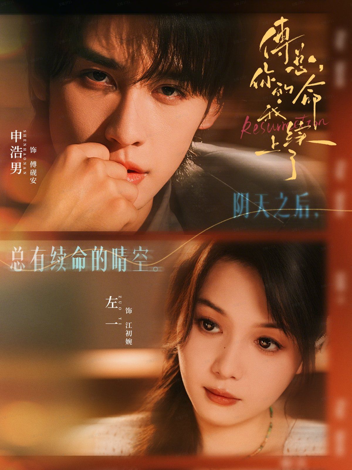 傅总，你的命我续上了 高清封面