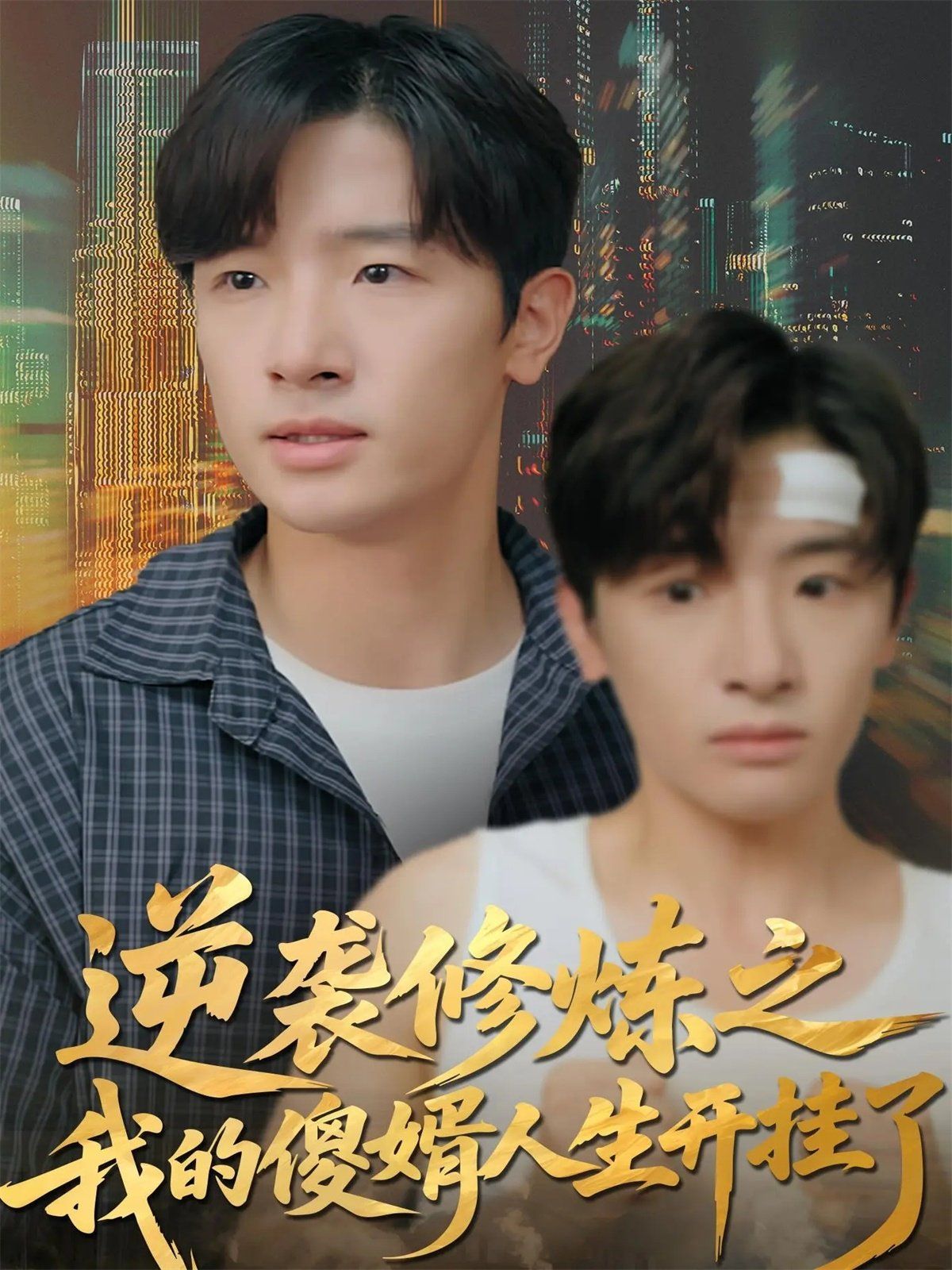 逆袭修炼之我的傻婿人生开挂了 高清封面