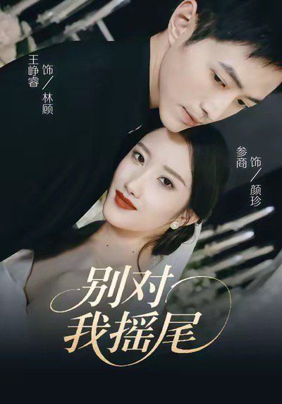 别对我摇尾 高清封面