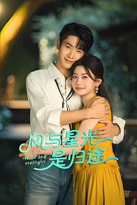 风与星光是归途 封面