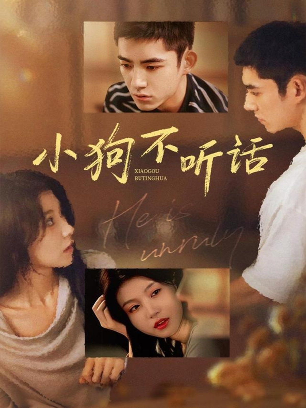 小狗不听话 高清封面