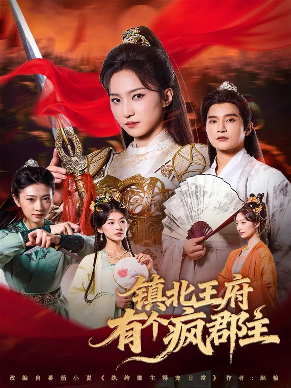 镇北王府有个疯郡主 封面