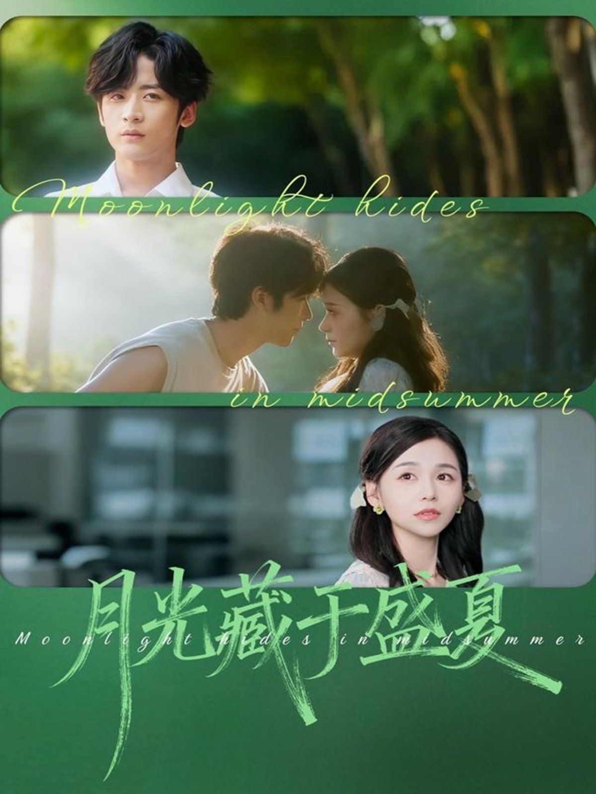 月光藏于盛夏 高清封面