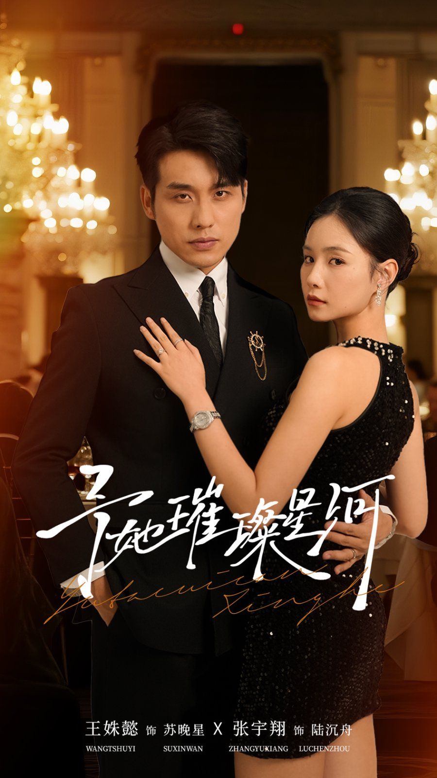 予她璀璨星河 高清封面