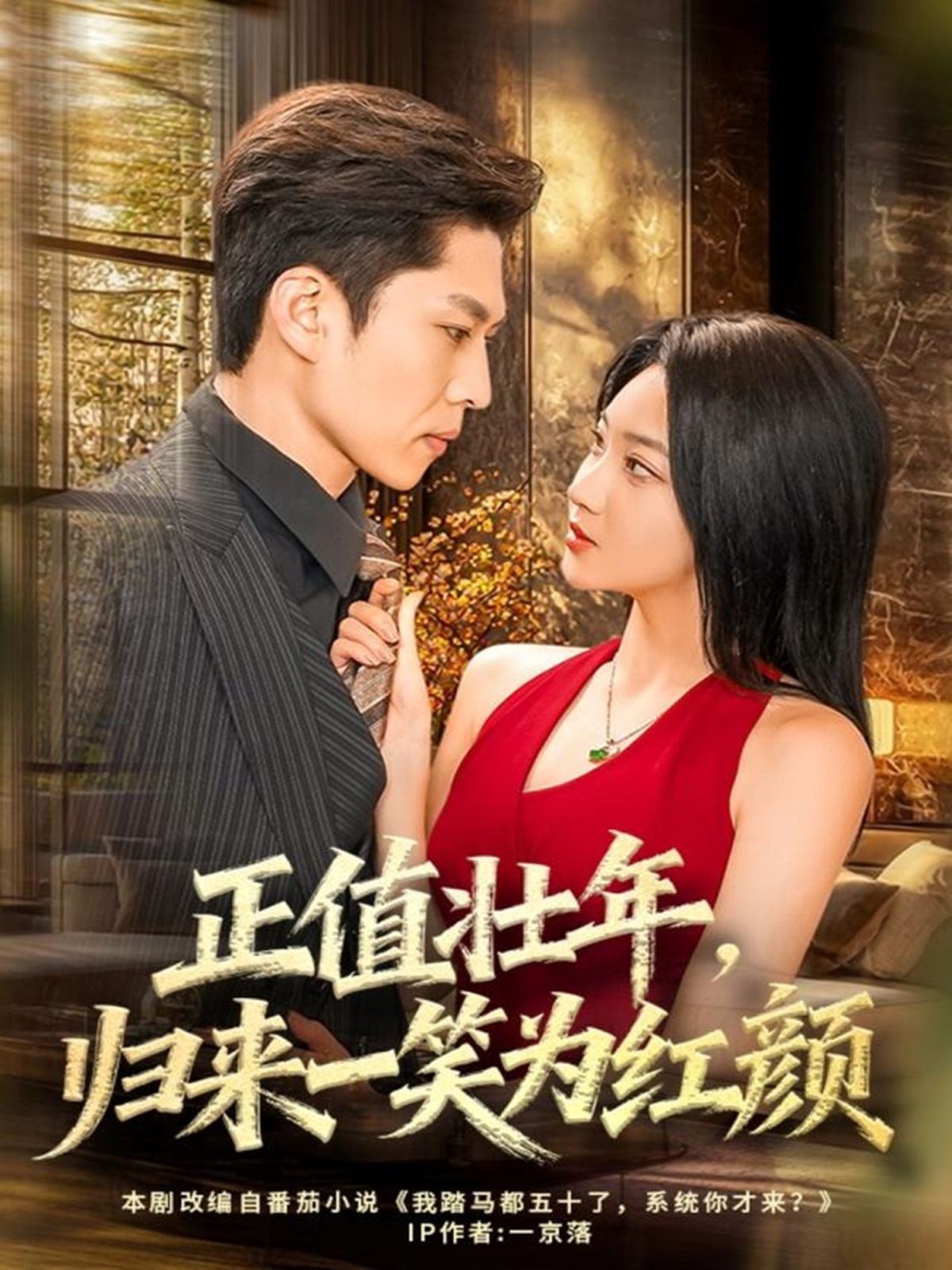 正值壮年，归来一笑为红颜 封面