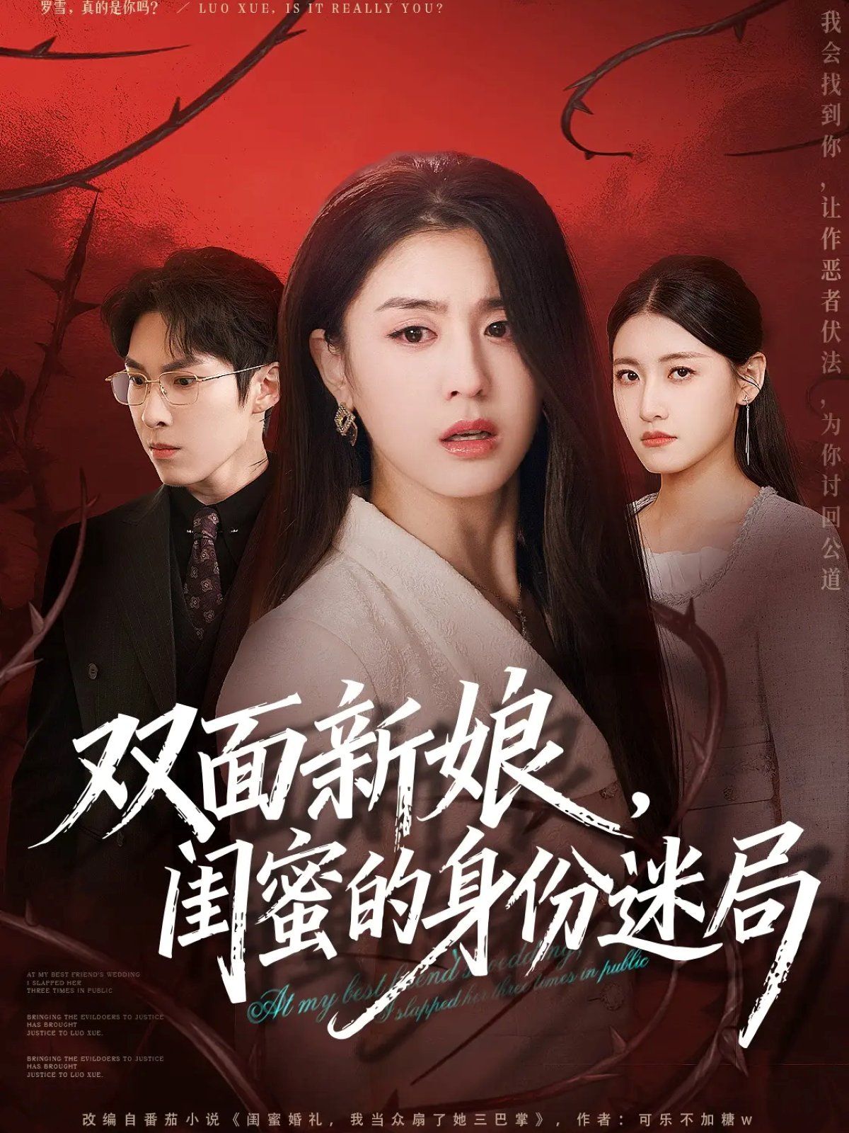 双面新娘，闺蜜的身份迷局 封面