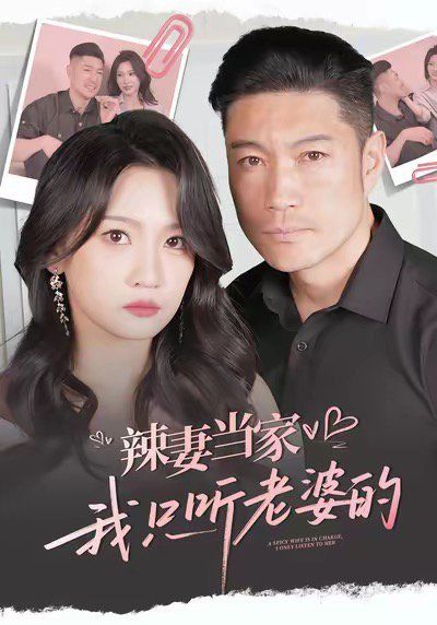 辣妻当家，我只听老婆的 高清封面
