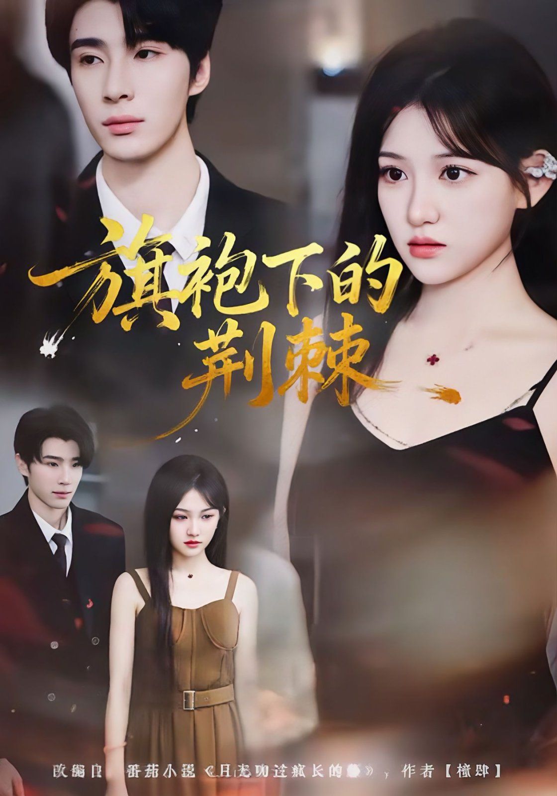 旗袍下的荆棘 高清封面