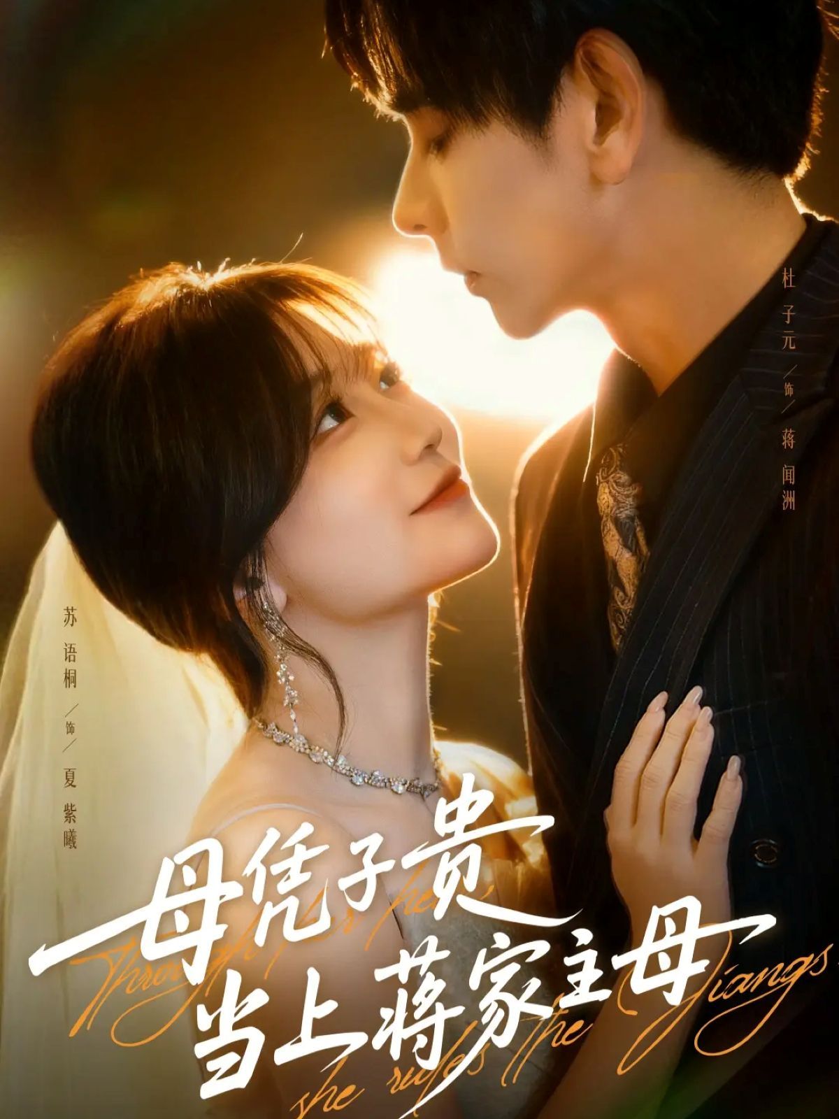 母凭子贵当上蒋家主母（怀孕后蒋少非要当我孩子爹） 高清封面