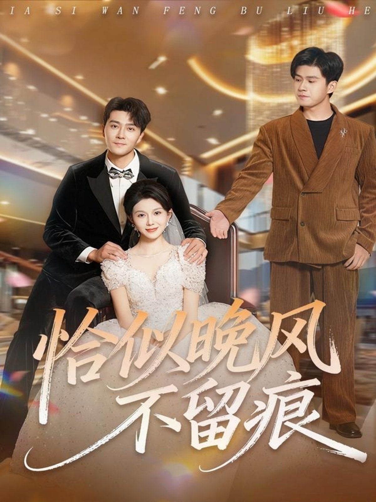 恰似晚风不留痕 高清封面