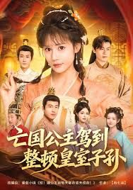 亡国公主驾到，整顿皇室子孙 封面