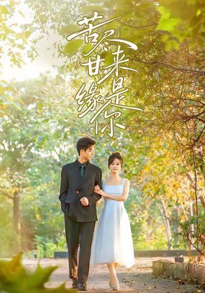 苦尽甘来缘是你 封面