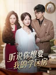 听说你想要我的学区房 高清封面
