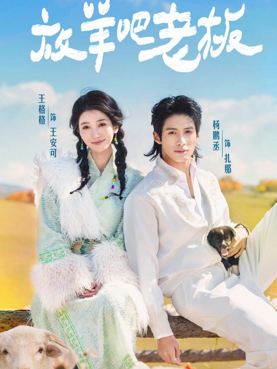 放羊吧老板 封面