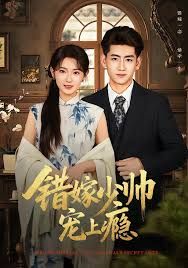 错嫁少帅宠上瘾 封面