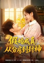 假婚成真从分房到封神（房风云重生守护师娘） 封面
