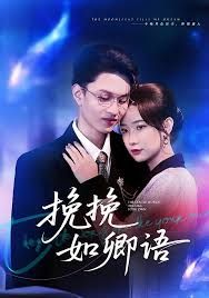 挽挽如卿语 封面