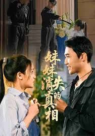 妹妹消失的真相 封面