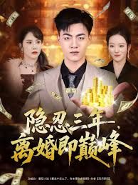 隐忍三年，离婚即巅峰 高清封面