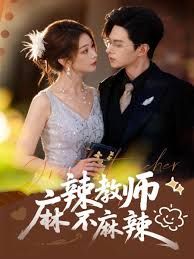 麻辣教师不麻辣 封面