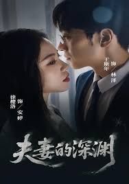 夫妻的深渊 高清封面