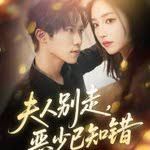 夫人别走恶少已知错 封面