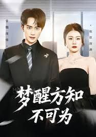 梦醒方知不可为 封面