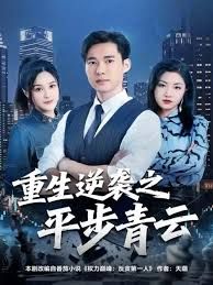 重生逆袭之平步青云 高清封面