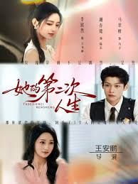 她的第二次人生 高清封面