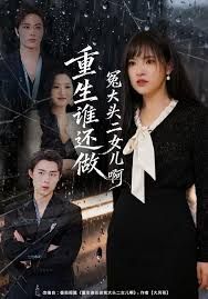 重生谁还做冤大头二女儿啊 高清封面