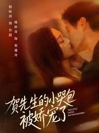 贺先生的小哭包被娇宠了 高清封面