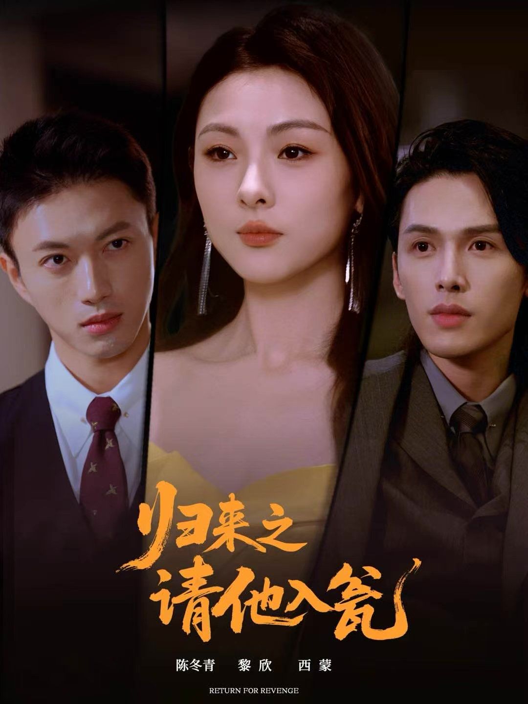 归来之请他入瓮 高清封面