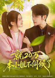 就20万！本小姐不伺候了 高清封面