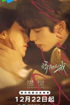 骄阳似我（2025） 封面