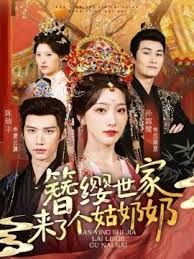 簪缨世家来了个姑奶奶 高清封面