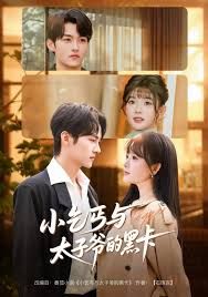 小乞丐与太子爷的黑卡 封面