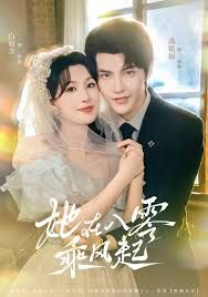 她在八零乘风起 封面