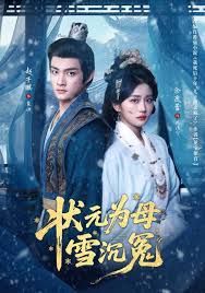 状元为母雪沉冤 封面