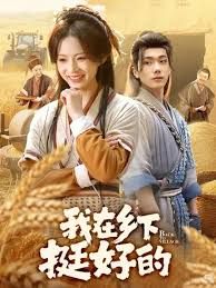 我在乡下挺好的 高清封面