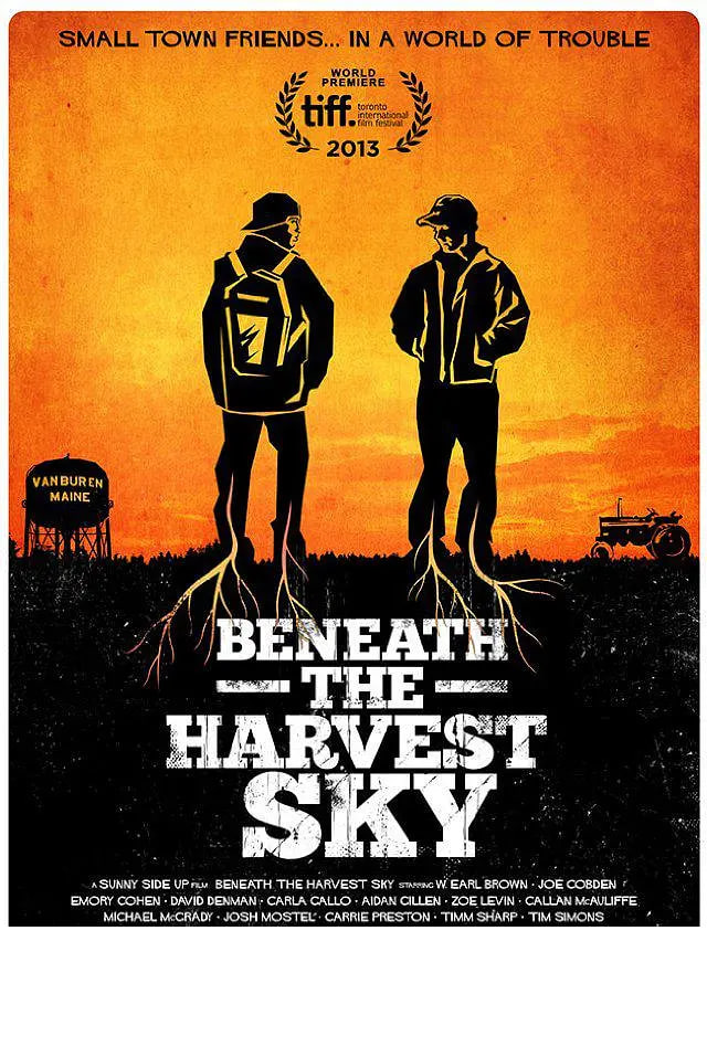 收获的天空下 封面