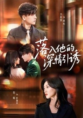 落入他的深情引诱 封面