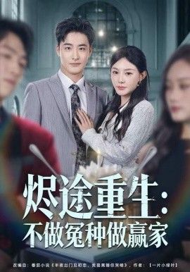 烬途重生：不做冤种做赢家 高清封面